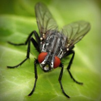 /album/%e6%9c%ac%e5%bd%93%e3%81%ab%e5%84%b2%e3%81%8b%e3%82%8b%e3%83%8d%e3%83%83%e3%83%88%e3%81%ae%e3%81%8a%e4%bb%95%e4%ba%8b/photolia-a01-jpg/