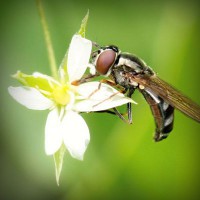 /album/%e6%9c%ac%e5%bd%93%e3%81%ab%e5%84%b2%e3%81%8b%e3%82%8b%e3%83%8d%e3%83%83%e3%83%88%e3%81%ae%e3%81%8a%e4%bb%95%e4%ba%8b/photolia-a02-jpg/