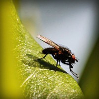 /album/%e6%9c%ac%e5%bd%93%e3%81%ab%e5%84%b2%e3%81%8b%e3%82%8b%e3%83%8d%e3%83%83%e3%83%88%e3%81%ae%e3%81%8a%e4%bb%95%e4%ba%8b/photolia-a04-jpg/