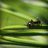 /album/%e6%9c%ac%e5%bd%93%e3%81%ab%e5%84%b2%e3%81%8b%e3%82%8b%e3%83%8d%e3%83%83%e3%83%88%e3%81%ae%e3%81%8a%e4%bb%95%e4%ba%8b/photolia-a05-jpg/