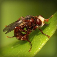 /album/%e6%9c%ac%e5%bd%93%e3%81%ab%e5%84%b2%e3%81%8b%e3%82%8b%e3%83%8d%e3%83%83%e3%83%88%e3%81%ae%e3%81%8a%e4%bb%95%e4%ba%8b/photolia-a06-jpg/