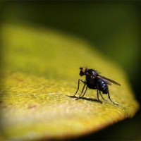 /album/%e6%9c%ac%e5%bd%93%e3%81%ab%e5%84%b2%e3%81%8b%e3%82%8b%e3%83%8d%e3%83%83%e3%83%88%e3%81%ae%e3%81%8a%e4%bb%95%e4%ba%8b/photolia-a07-jpg/