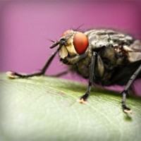 /album/%e6%9c%ac%e5%bd%93%e3%81%ab%e5%84%b2%e3%81%8b%e3%82%8b%e3%83%8d%e3%83%83%e3%83%88%e3%81%ae%e3%81%8a%e4%bb%95%e4%ba%8b/photolia-a08-jpg/